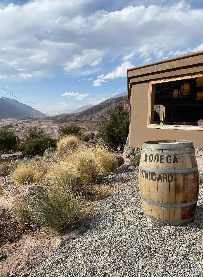 BODEGA KINDGARD