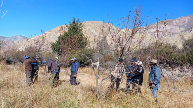 1084ca35-1939-4e1a-93a7-202dfd0512b5